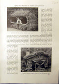Antique Old Print Jonkoping Musuem Sweden Market Booth Monastery Ystad 1912