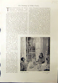 Antique Old Print 1912 Green Silver Children House Window Hilda Fearon Alice