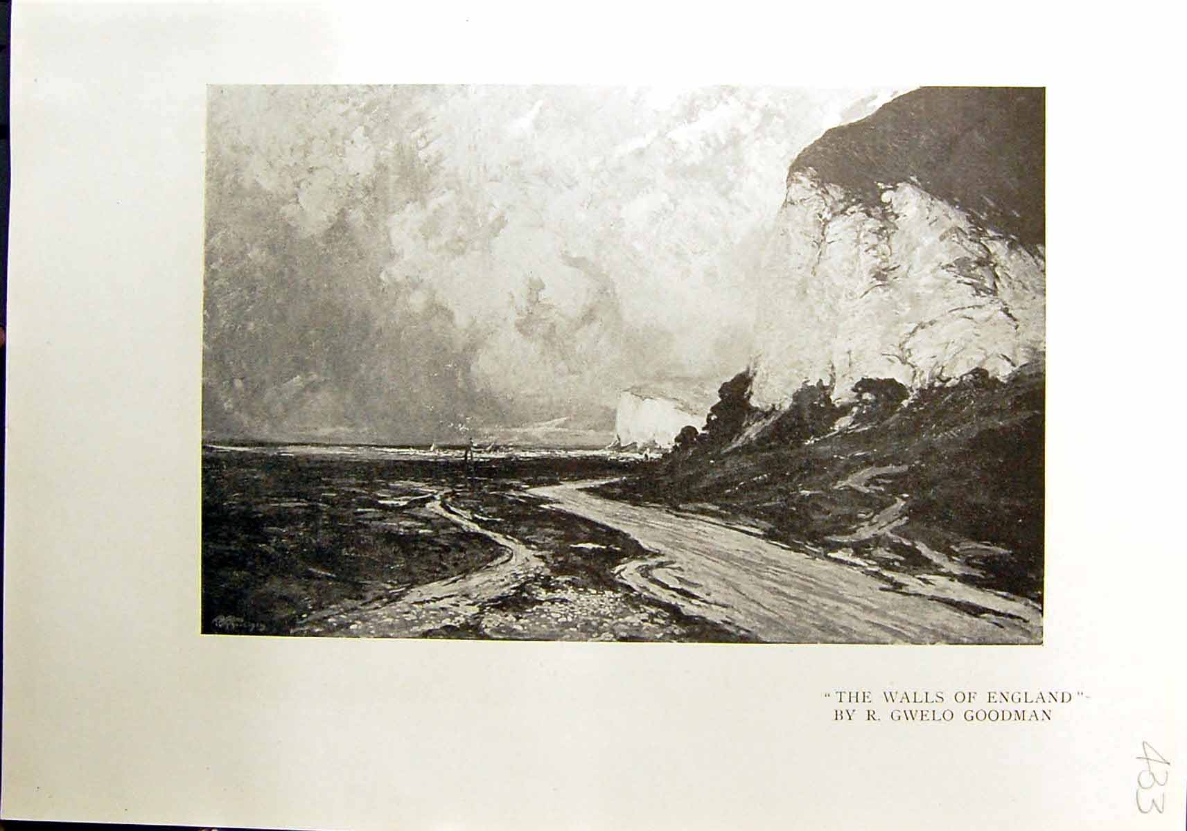 Old Print Walls England White Cliffs Dover Goodman 1912 Darjeeling Trees 20th