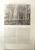 Old Antique Print Woods Trees France Gibson Drake Duck George Pirie 1912 20th
