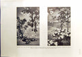 Old 1912 Tsuzure Nishiki Silk Brocades Emperor Japan Jimbei Kikuchi H 20th