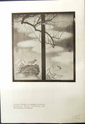 Antique Old Print Cedar Doors Baron Fujita'S Mansion Mochizuki Gyokkei 1913