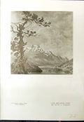 Old Beloved Pine Tree Mountains Lucy Conant 1913 Baby Becker Lady Cup 20th