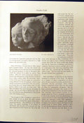 Old Print Marble Heads Anna Golubkina Corean Bowl Korai Flower Vase 1913 20th