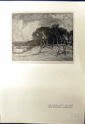 Old April Day Trees Walter James Riva Schiavoni Venice Italy Precival