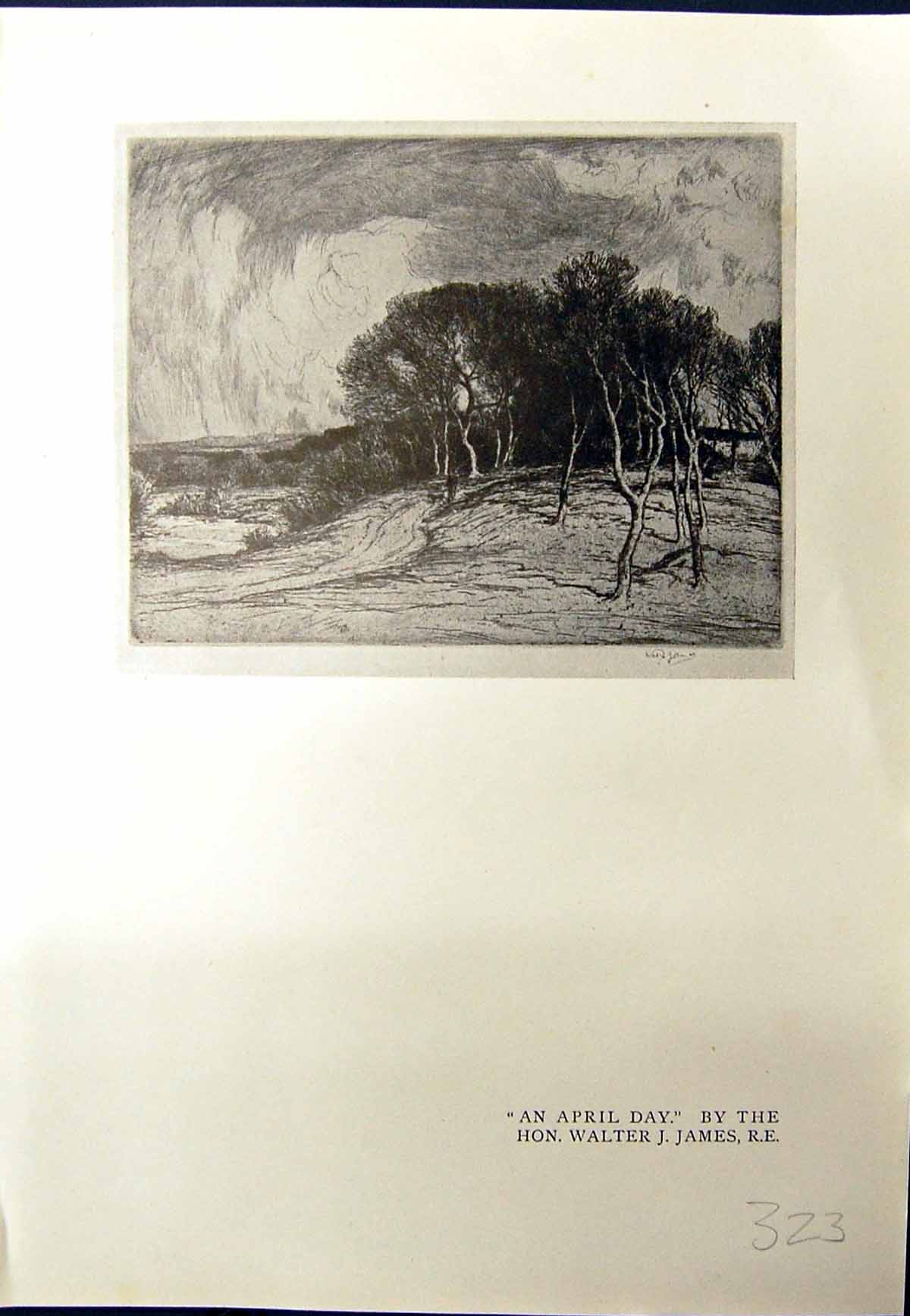 Old April Day Trees Walter James Riva Schiavoni Venice Italy Precival