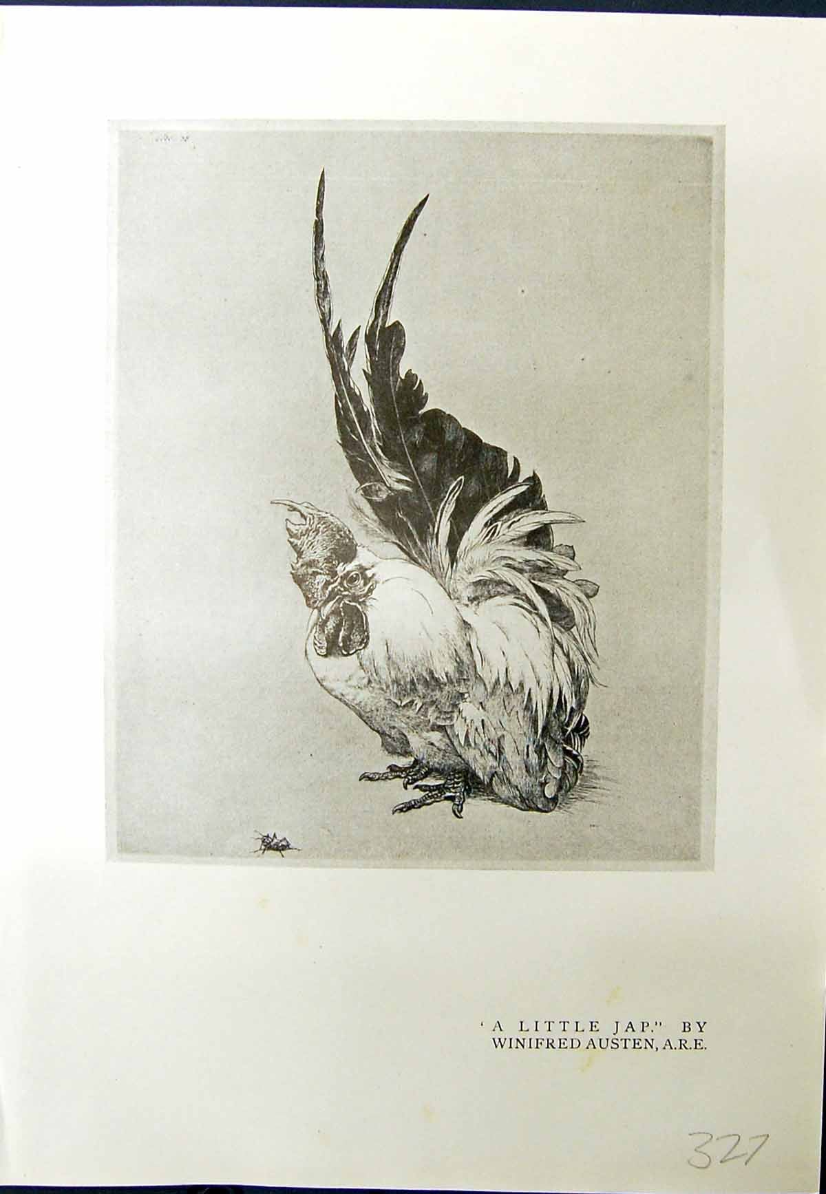 Old Little Jap Cockerel Winifred Austen Warwick Castle William Monk