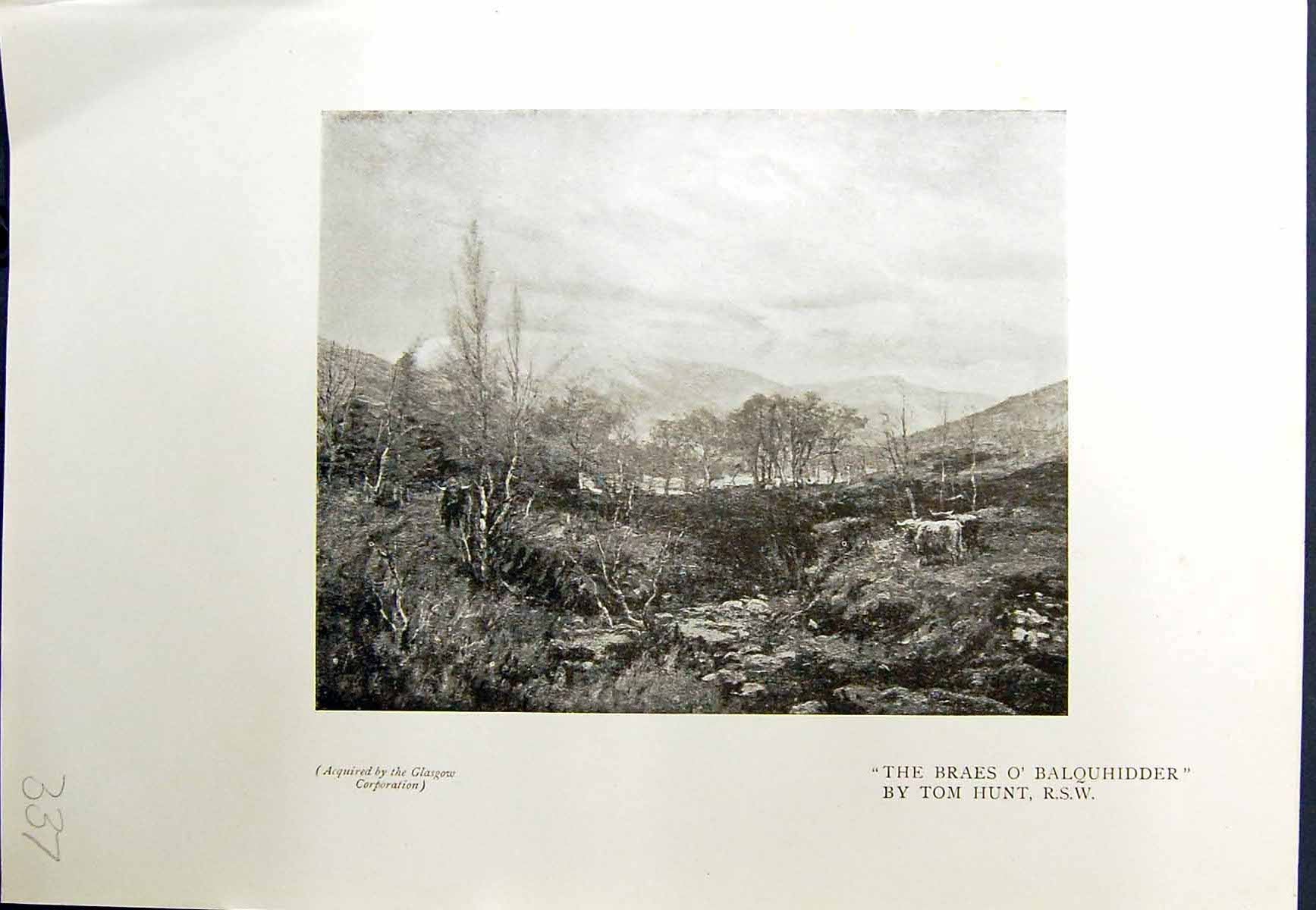 Old Print Braes Balquhidder Tom Hunt Cadzow Forest Trees Alec Mcneil 1913 20th
