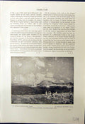 Old 1913 St. Thomas Harbour West Indies Brownell Winter Trees Harris 20th