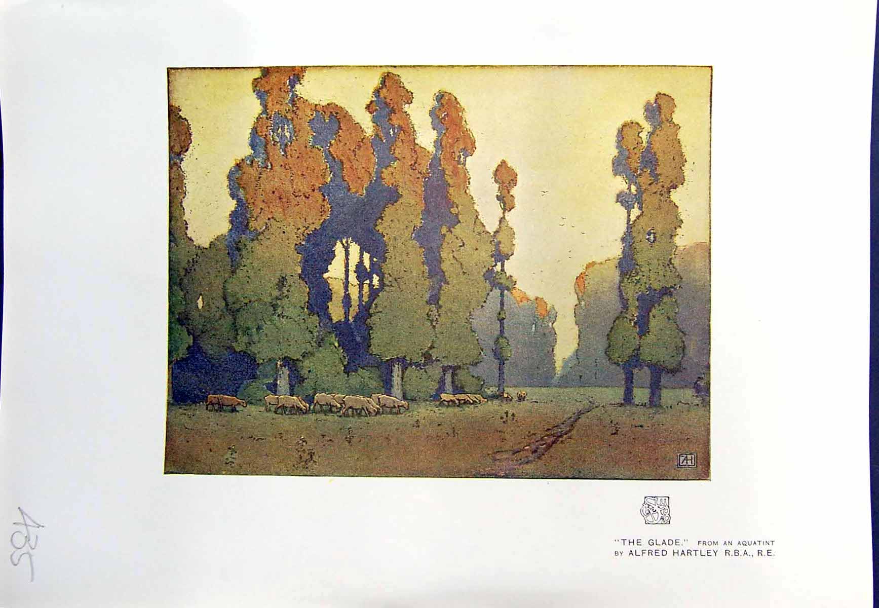 Original Old Antique Print Colour 1913 Glade Trees Forest Alfred Hartley Sheep