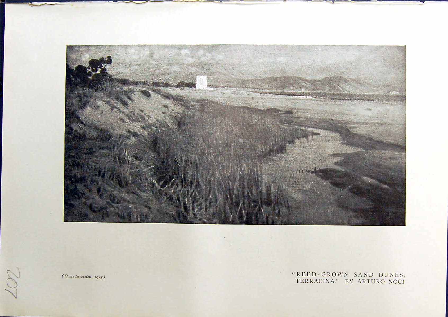 Antique Old Print Reed-Grown Sand Dunes Terracina Noci 1914 Madame F Zakharf