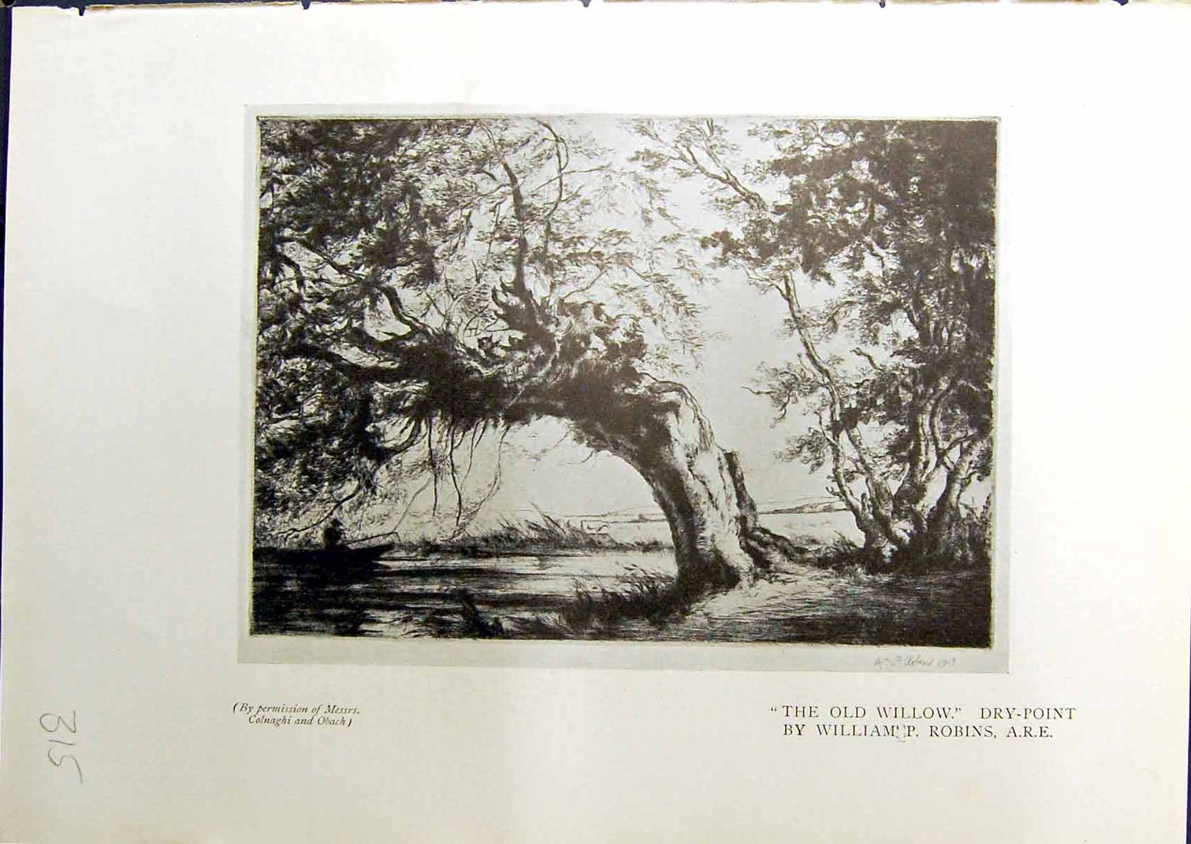 Original Old Antique Print Willow Tree Robins Cass New York Norriss Tait 1914