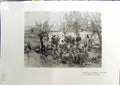 Antique Print 1914 Early Summer Scene Cows Picardy Mountains Scotland Brown