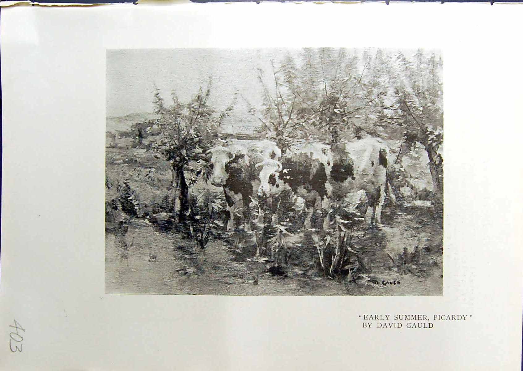 Antique Print 1914 Early Summer Scene Cows Picardy Mountains Scotland Brown