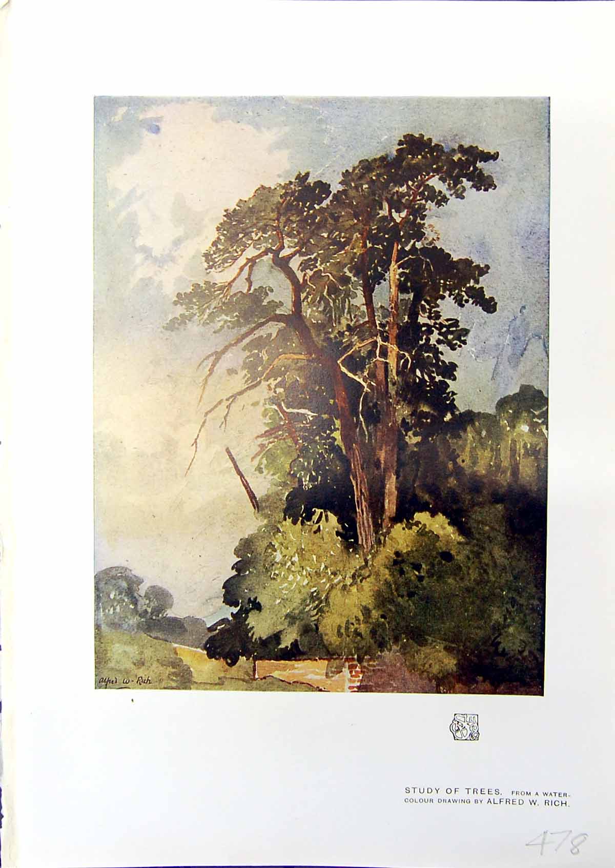 Original Old Antique Print Study Trees Alfred Rich 1914 Colour 20th Century