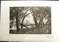 Old Marsh Lands Trees Animals Cecil Lawson Raiders Milking Time Cows