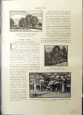 Old Walnut Trees France Dante Wood Raverat Mountain Summit Prodigal S