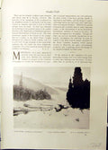 Old Studio 1915 Mulet River Laurentian Mountains Rosaire Maple Trees 20th