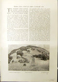 Old Alpine Landscape Retour Corpus Domini Berta Vent Mars Fleuri Stud