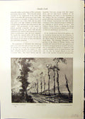 Old Somewhere France Trees Handley-Read Trees Lane Cornwall Dobson St