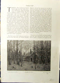 Old Sugar Bush Autumn Trees House Village Street Snow Suzor Cote Stud
