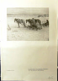 Old Habitants Watering Horses Brownell Market Place Malo Morrice Stud