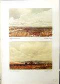 Old Print Colour Okehampton Devon Wareham Dorset Calude Hayes Studio 1915 20th