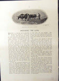 Old Ploughing Oxen Sussex Horses Manuring Land Essex Farming Britain
