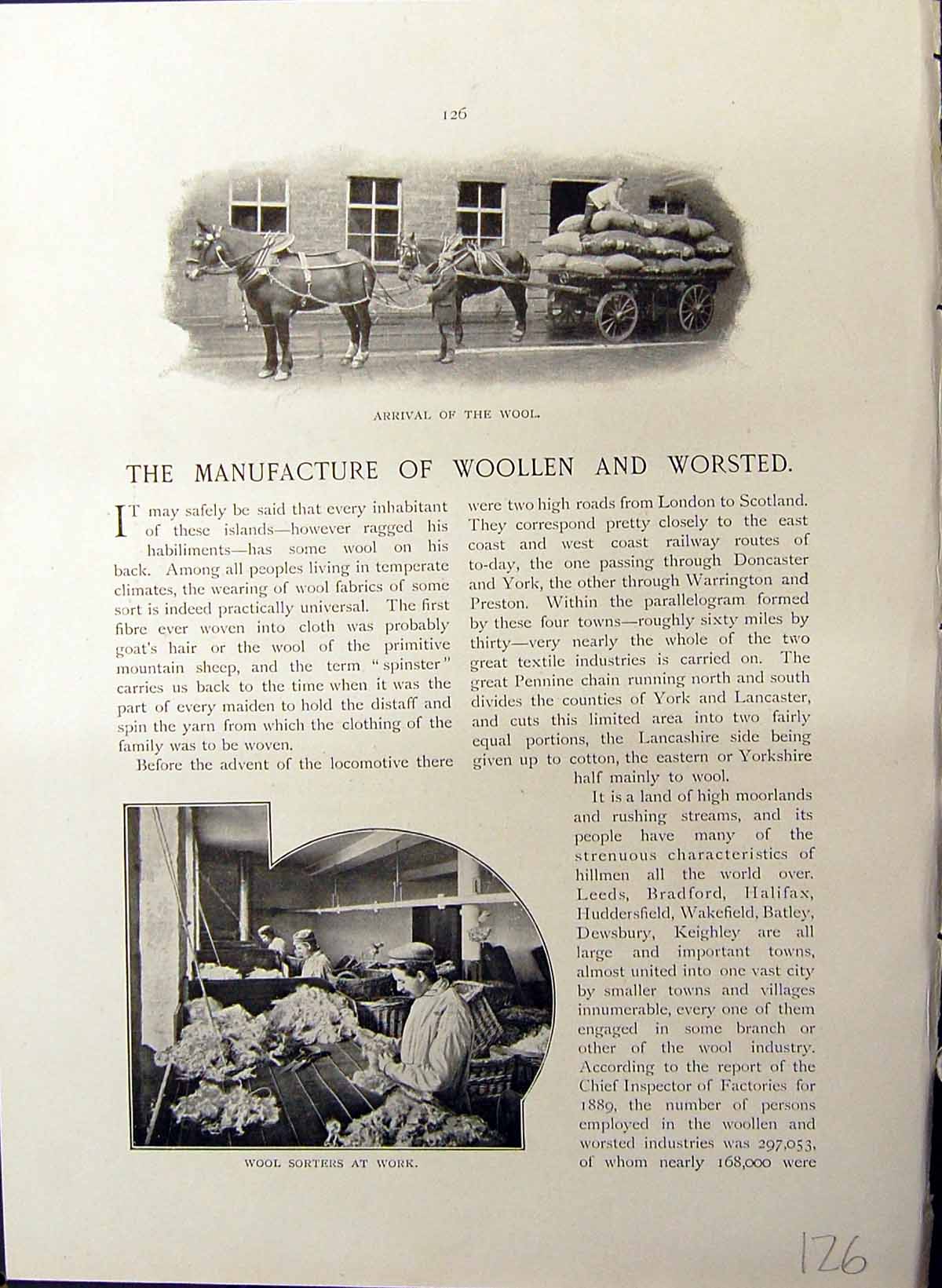 Old Britain Work C1910 Manufacture Wollen Worsted Wool Sorters Yorksh 20th