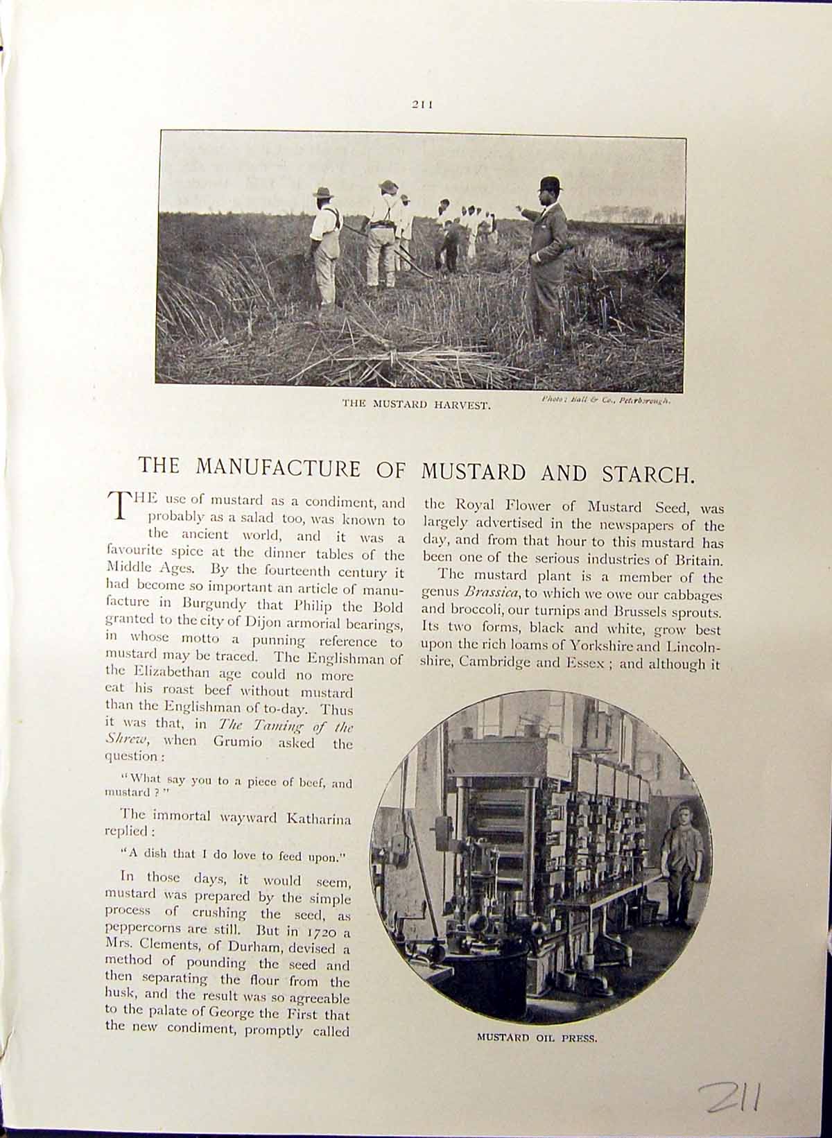 Old Manufacture Mustard Starch Harvest Tins Machinery Britain Work C1