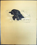 Original Old Vintage Print Lucy Dawson Colour 1936 Dogs Caesar 20th Century