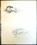 Old Vintage Print Rob Terrier Sleeping Pet Dogs Animals Lucy Dawson 1936 20th