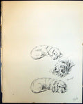 Old Print Oonagh Terrier Sleeping Pet Dogs Animals Lucy Dawson 1936 Ref.2 20th