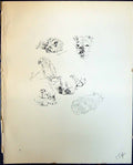 Antique Old Print Joan Minnie Parrot Bird Pet Dogs Animals Lucy Dawson 1936