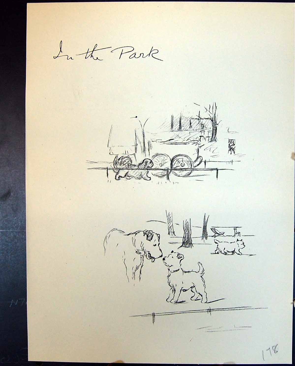 Antique Old Print Exercise Park Tea-Time Pet Dogs Animals Lucy Dawson 1936 20th
