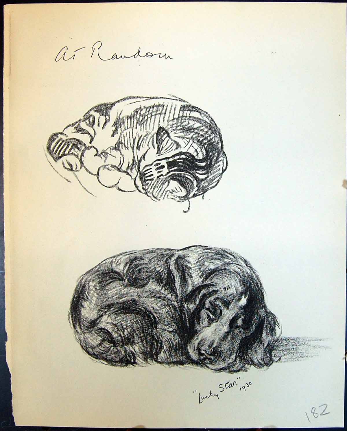 Old Vintage Print Lucky Star Pet Dogs Sleeping Animals Lucy Dawson 1936 20th