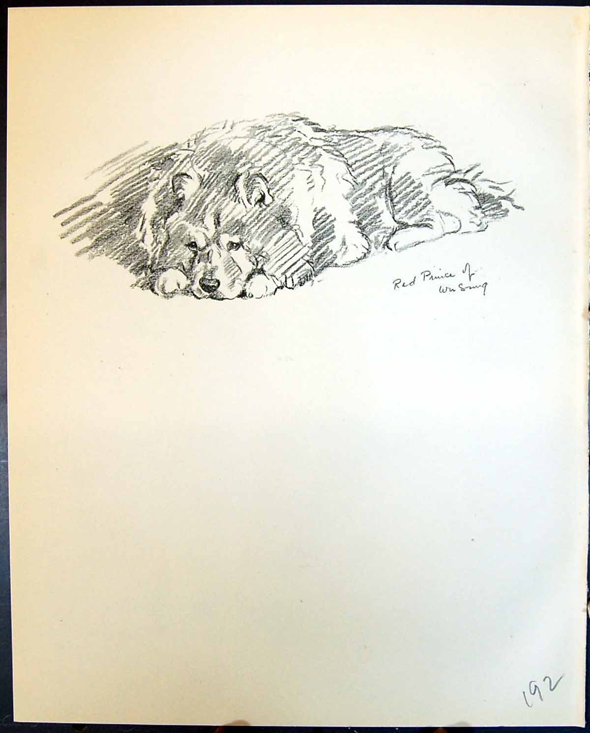 Antique Old Print Red Prince Wu Sung Lalli Pet Dogs Animals Lucy Dawson 1936
