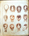 Original Old Antique Print Culpeper C1857 Process Delivery Baby Human Body 19th