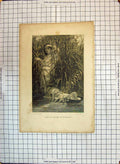 Original Old Antique Print River Scene Moses Ark Bulrushes Religion