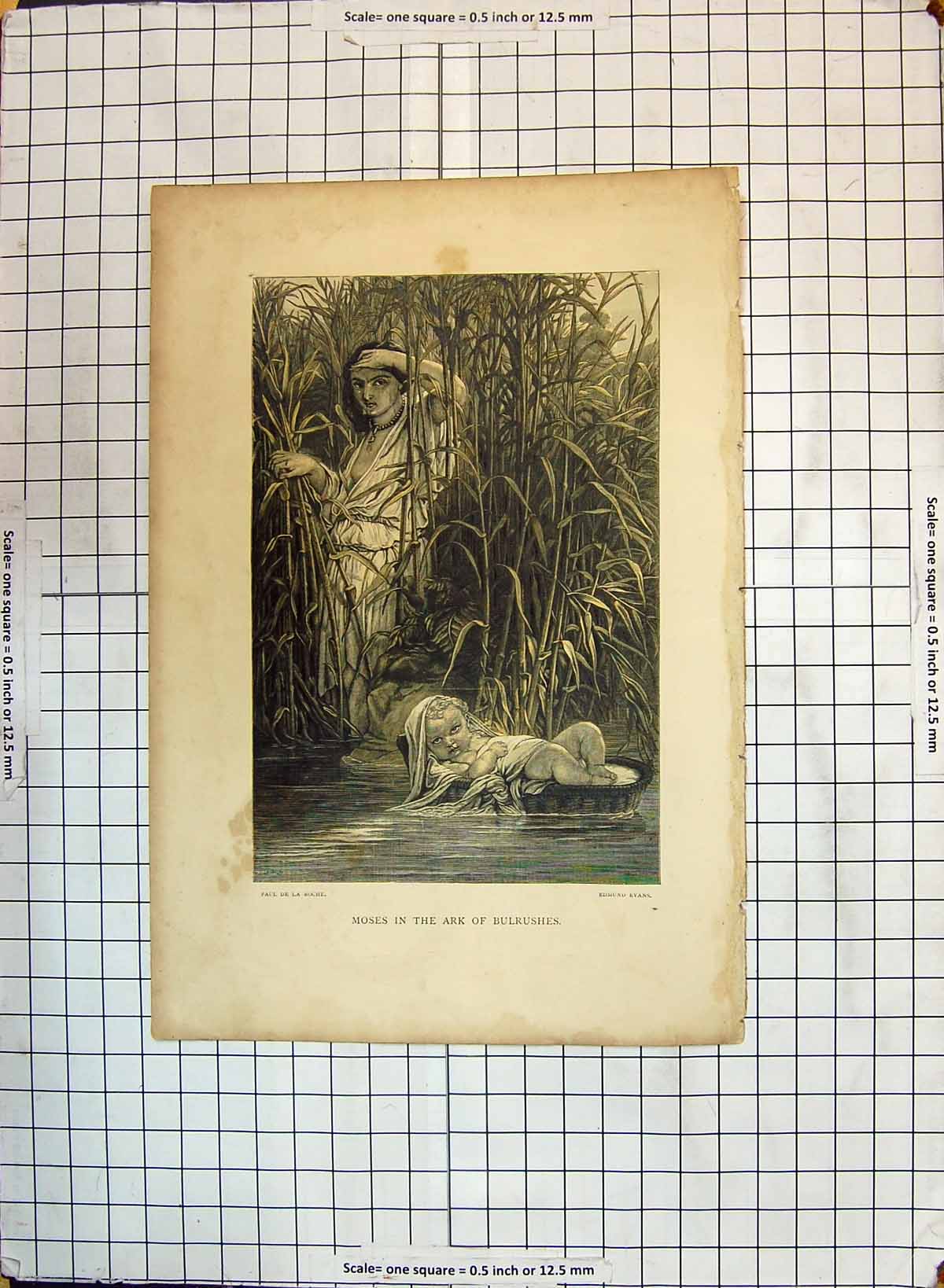 Original Old Antique Print River Scene Moses Ark Bulrushes Religion