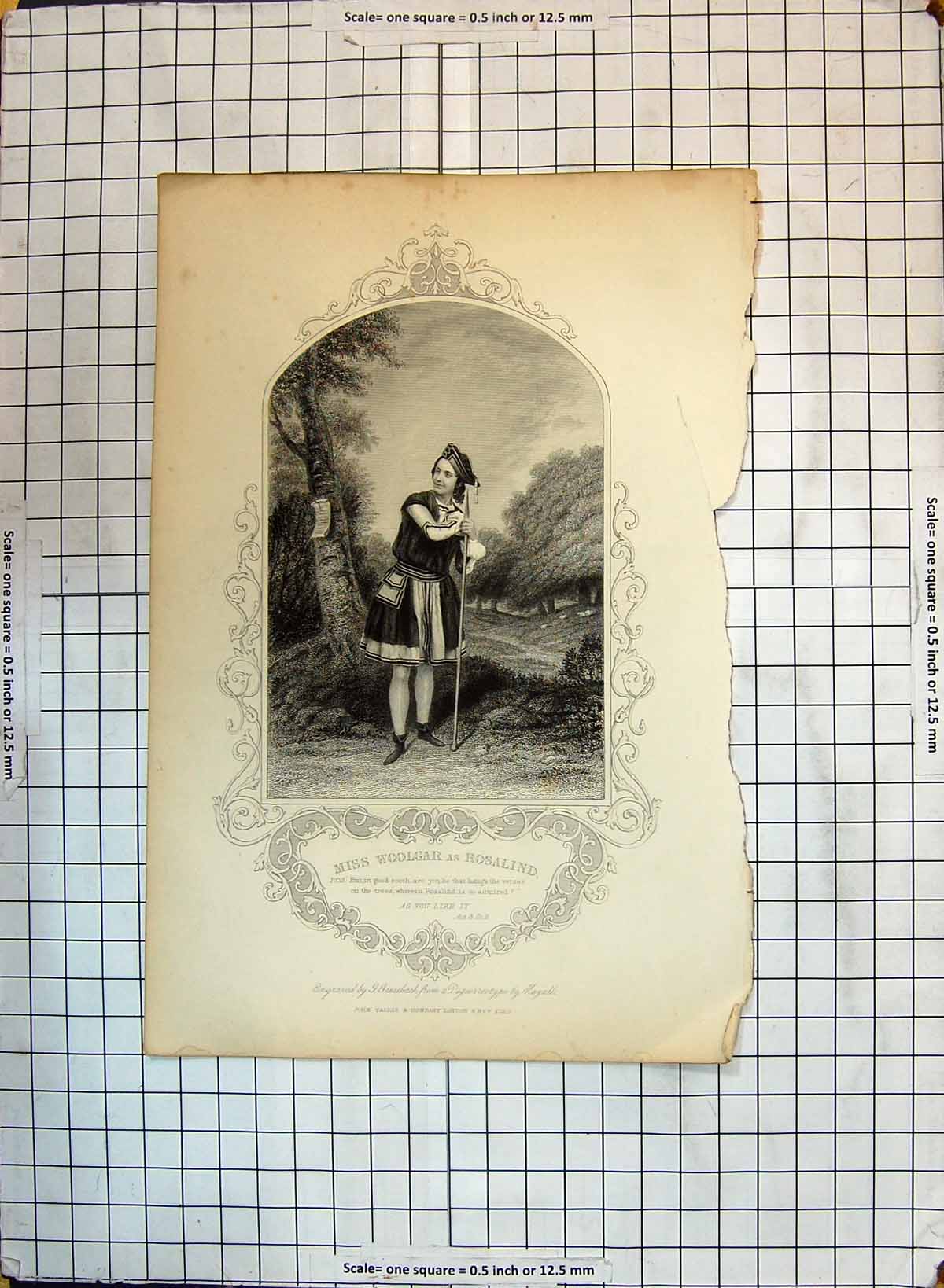Original Old Antique Print Portrait Woolgar Rosalind Theatre Actress