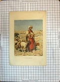 Original Old Antique Print Colour Syrian Shepherd Sheep Animals Evans Webb 20th