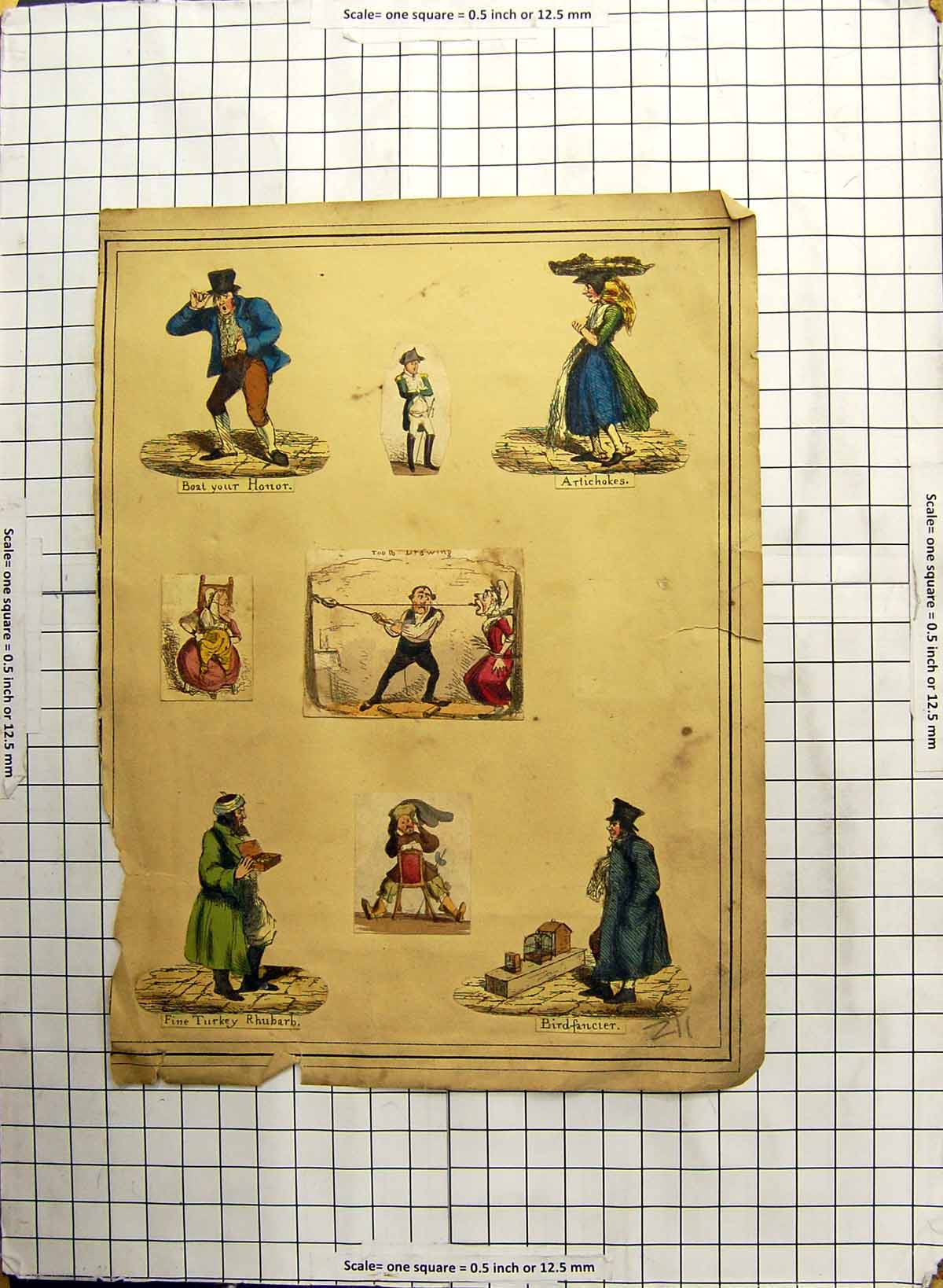 Antique Old Print Landscape Land Storm Bird Fancier Comedy Turkey Rhubarb