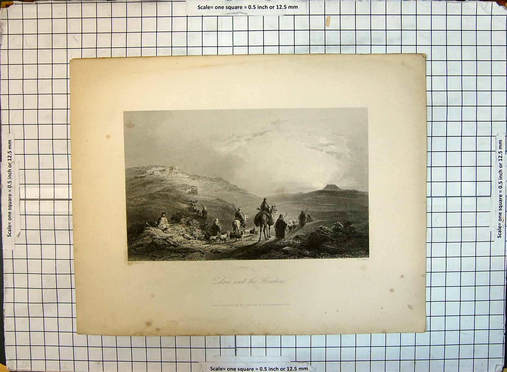 Original Old Antique Print Tekoa Herodion Camels Mountain Scene Wallis Bartlett