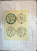 Original Old Antique Print Gegens Melanges Diagrams Shapes