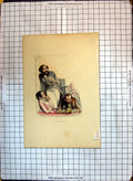 Original Old Antique Print Colour Second Mari Theatre Box Family