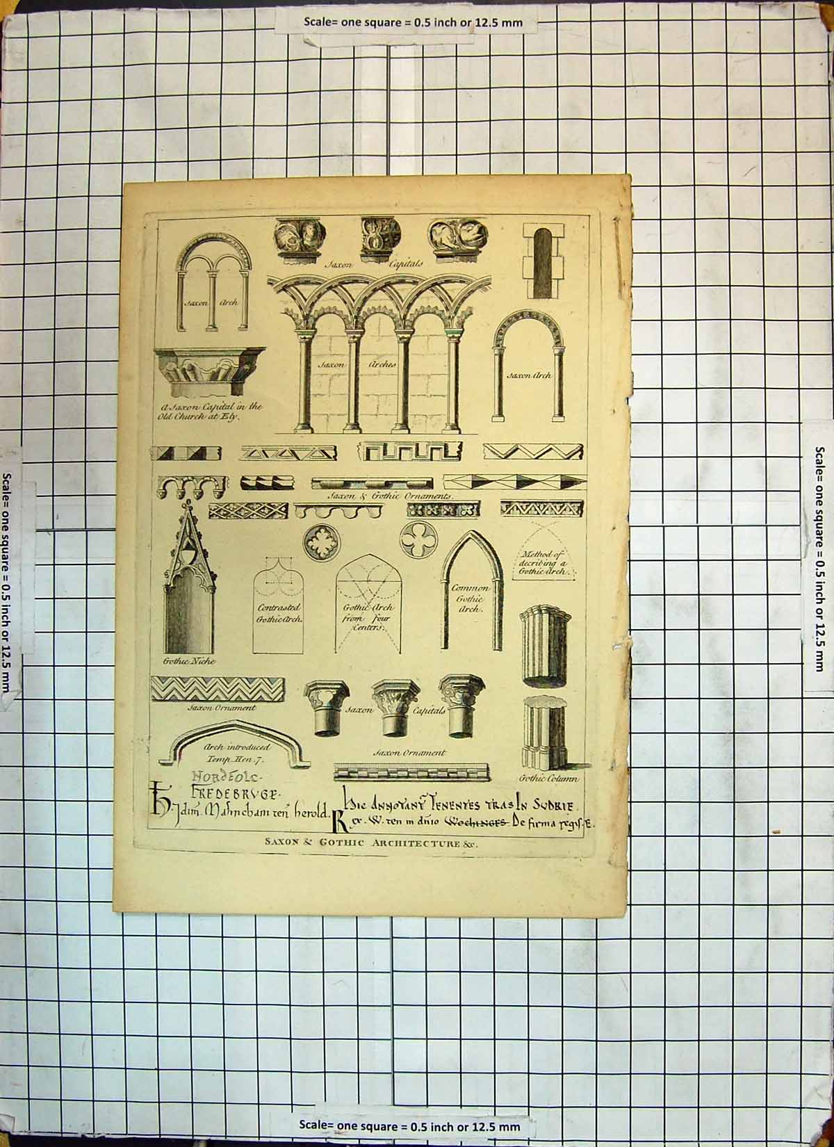 Original Old Antique Print Saxon Gothic Architecture Arches Capitals Church Ely