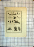 Antique Print Instruments Music Tambour Royal Guittarre Timbale Trompettes
