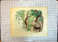 Original Old Antique Print Colour 1859 Animals Rodents Nature Otters Victorian