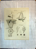 Original Old Antique Print Ice House Keratophyta Boat Plan Diagrams